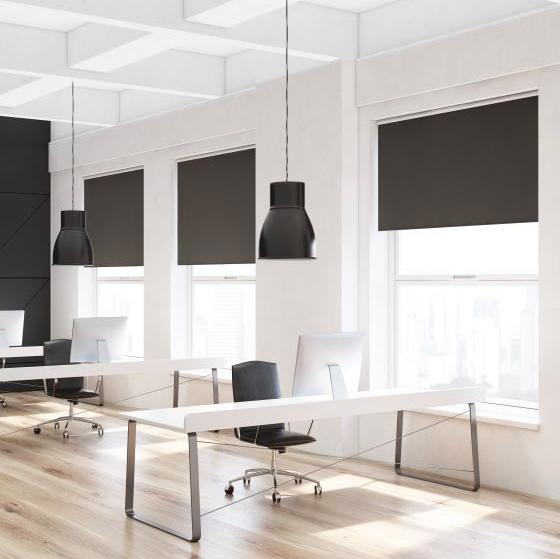 Roller Blackout vista 7